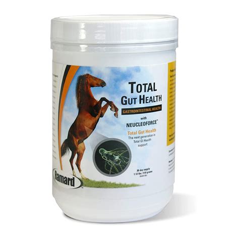 Why Equine Magic Potion 32 Ounces is a Must-Have for Performance Horses